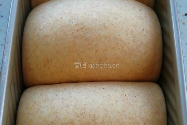 全麦吐司的做法图解11