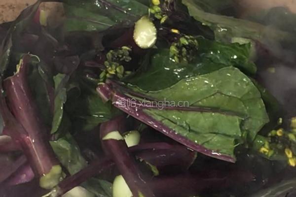 腊肉炒菜苔的做法图解6