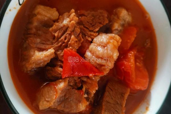 番茄炖牛腩的做法图解11