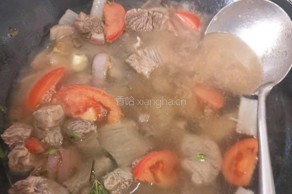 番茄炖牛腩的做法图解8