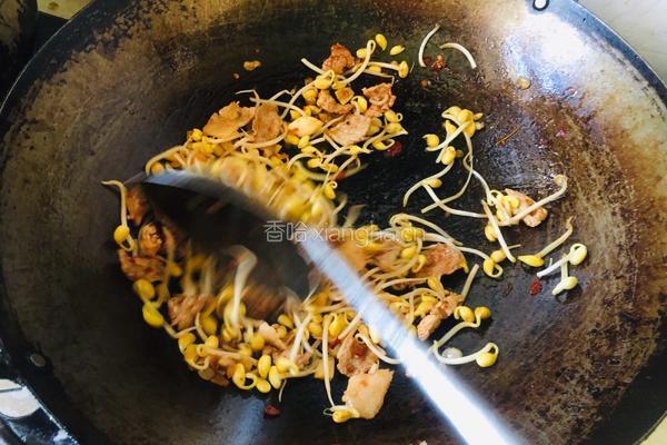 香芹黄豆芽炒肉片的做法图解4