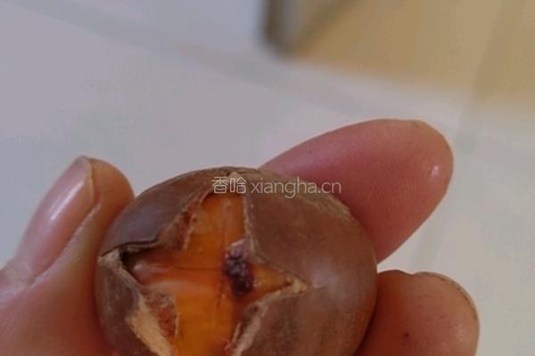 烤栗子的做法图解4
