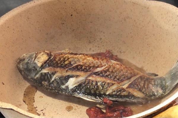豆瓣鲫鱼的做法图解4