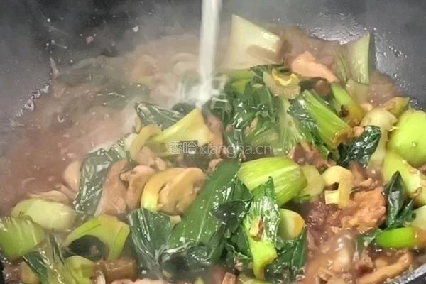 口蘑豆腐炖白菜的做法图解12