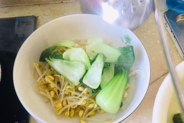 极简版水煮肉片的做法图解6