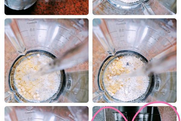 黄豆豆浆的做法图解2