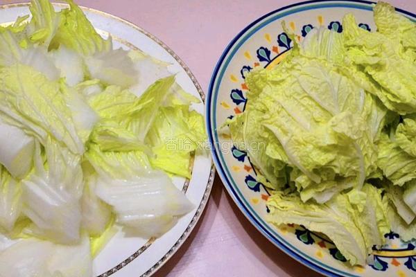 白菜配粉条的做法图解1