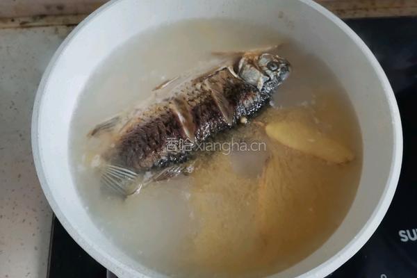 鲫鱼豆腐菌菇汤的做法图解5