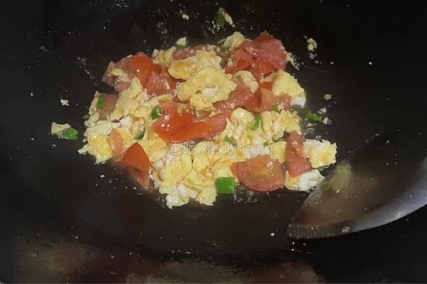 鸡蛋炒番茄的做法图解9