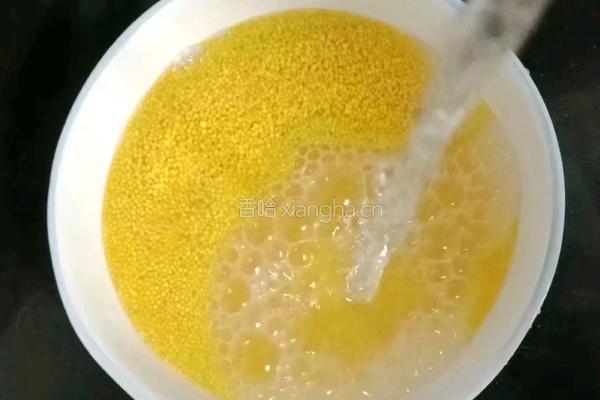 小米鲜虾粥的做法图解7