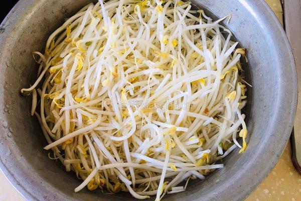 绿豆芽拌干丝的做法图解1