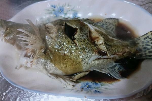 教你烹饪鳜鱼的做法图解10