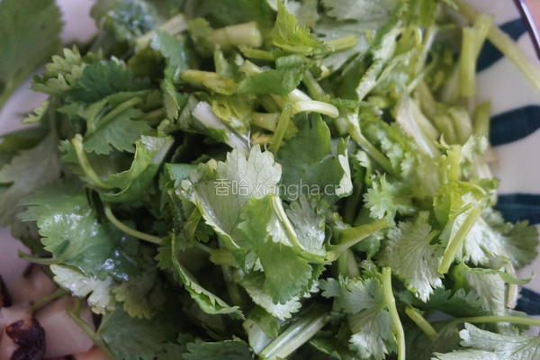 不用面粉的白菜饺子的做法图解9