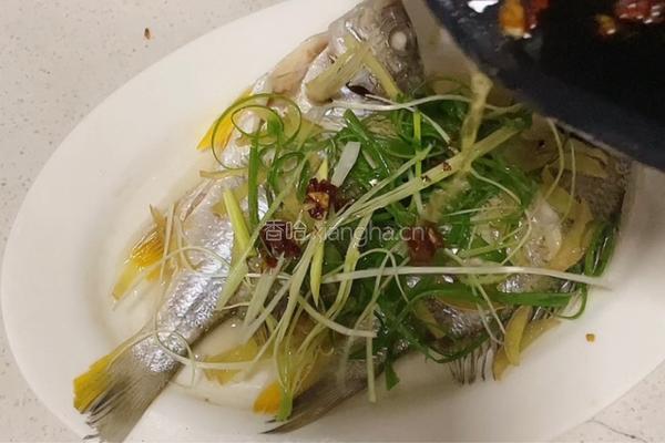 葱香蒸鱼的做法图解8