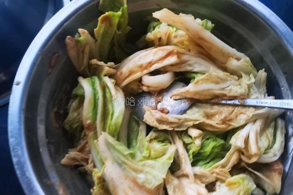 简化版乾隆白菜