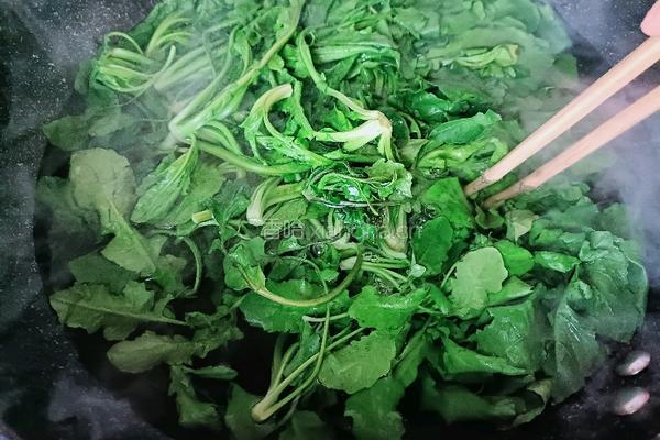 炒荠菜的做法图解4