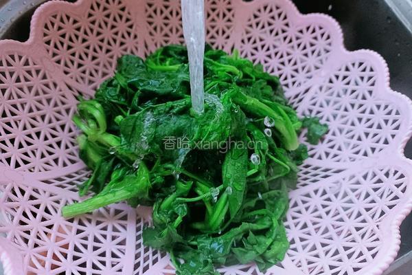 炒荠菜的做法图解5