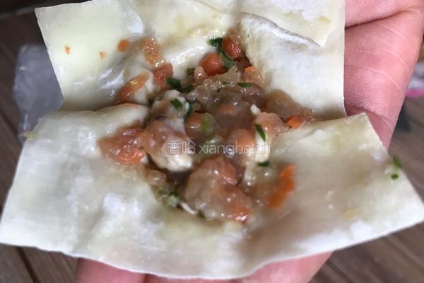 养生健身馄饨的做法图解9