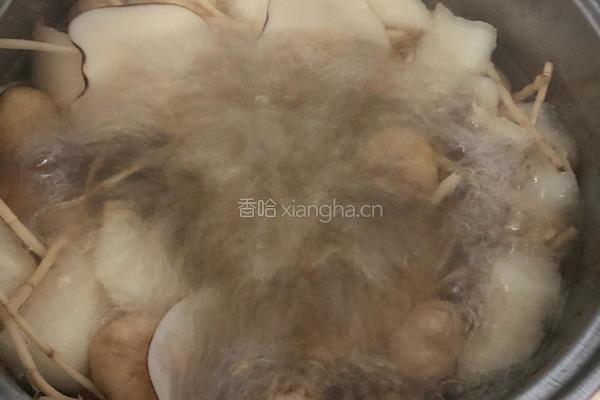 海底椰雪梨膏的做法图解1