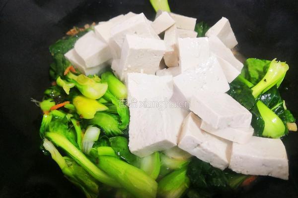 小油菜炖豆腐的做法图解4