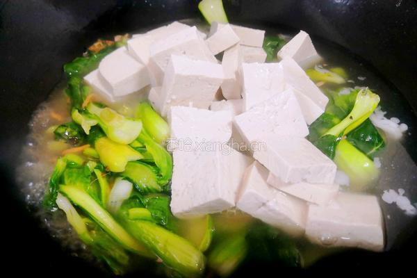 小油菜炖豆腐的做法图解5