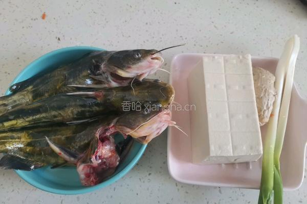 昂刺鱼豆腐汤的做法图解1