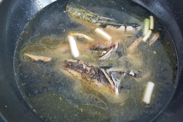 昂刺鱼豆腐汤的做法图解4