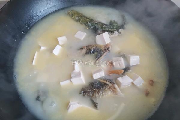 昂刺鱼豆腐汤的做法图解5