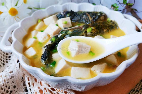 昂刺鱼豆腐汤的做法图解8