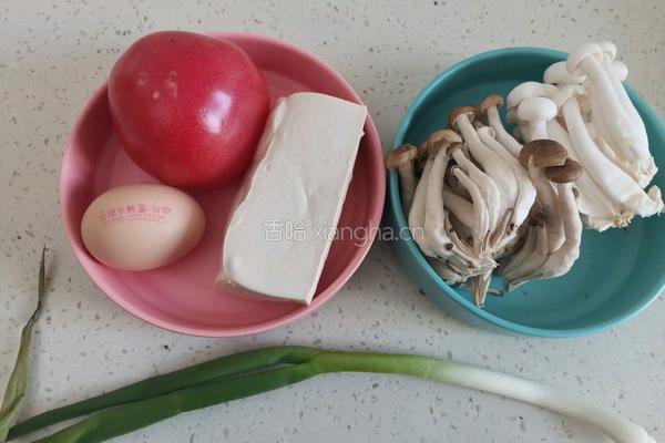 番茄菌菇豆腐汤的做法图解1