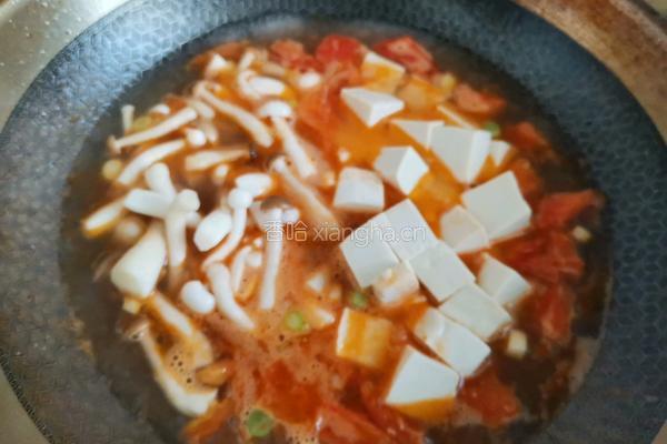 番茄菌菇豆腐汤的做法图解7