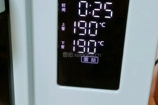 原味蛋挞的做法图解9