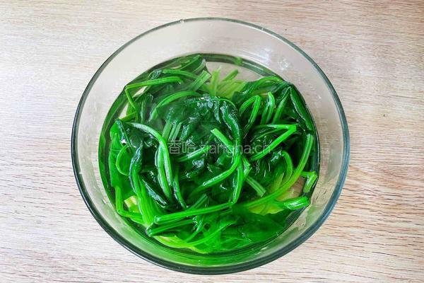 菠菜鸡蛋羮的做法图解3