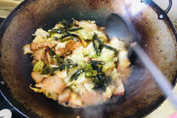 红烧肉烩菜的做法图解4
