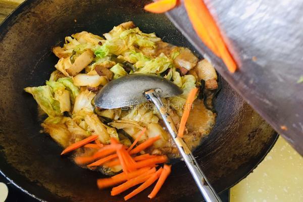 红烧肉烩菜的做法图解5