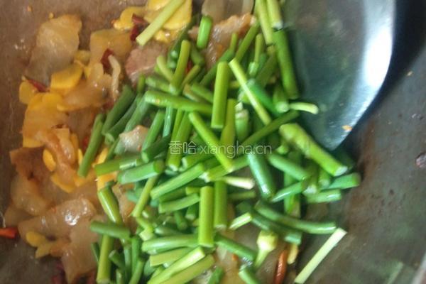 蒜苔炒油炸肉的做法图解5