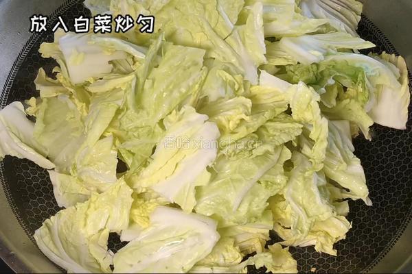 白菜粉条肉的做法图解4