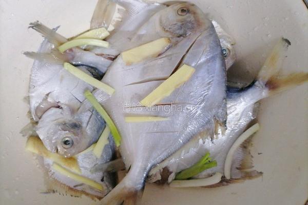 香煎白鲳鱼的做法图解1