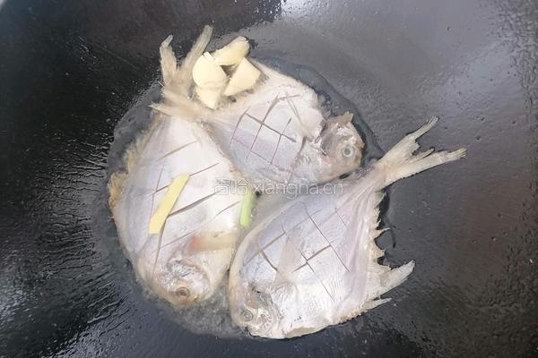 香煎白鲳鱼的做法图解3