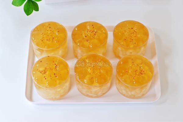 桂花绿茶雪梨冻的做法图解12