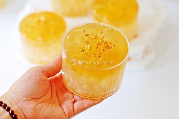 桂花绿茶雪梨冻的做法图解13