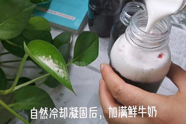 蓝莓冻撞奶的做法图解10