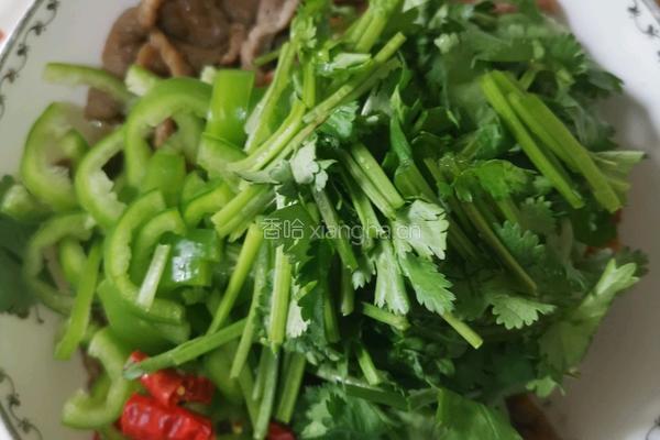 芫荽拌牛肉的做法图解6