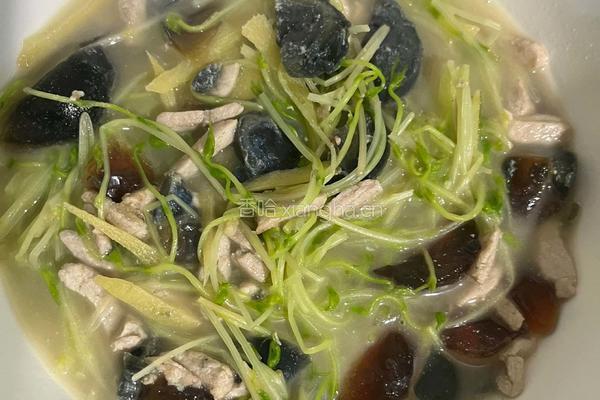上汤豆苗