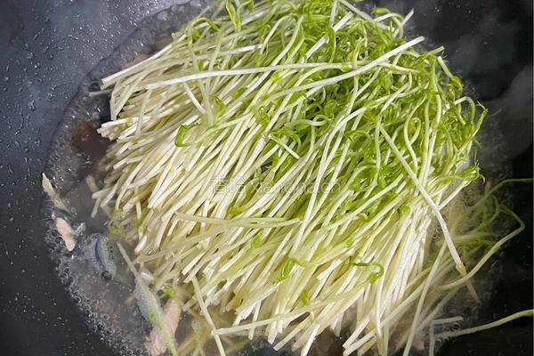 上汤豆苗的做法图解5