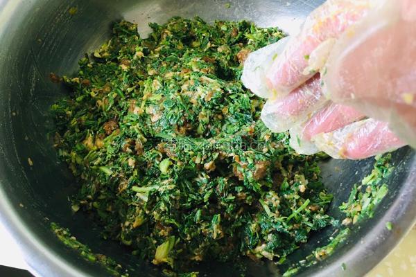 荠菜大肉水饺的做法图解10