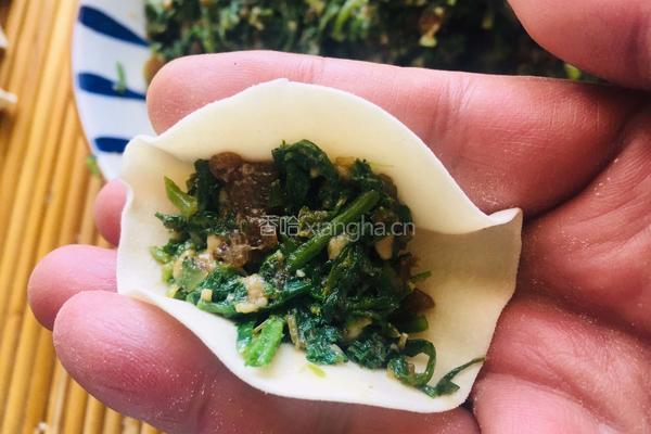 荠菜大肉水饺的做法图解12