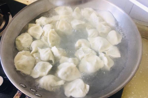 荠菜大肉水饺的做法图解14
