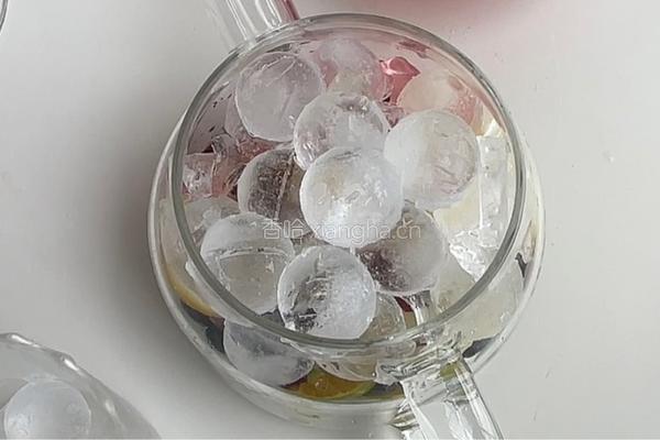 雪碧青桔蔓越莓饮的做法图解6