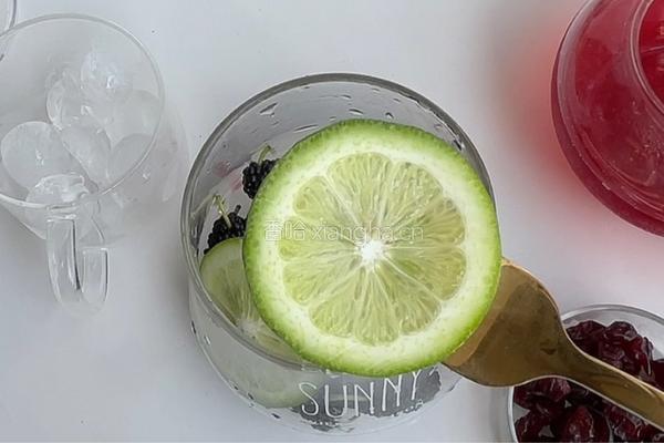 桑葚蔓越莓果汁饮的做法图解3